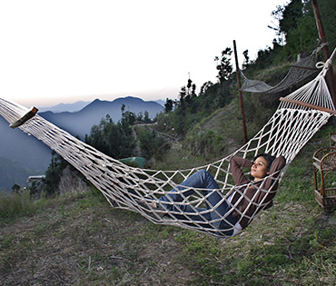 Hammock